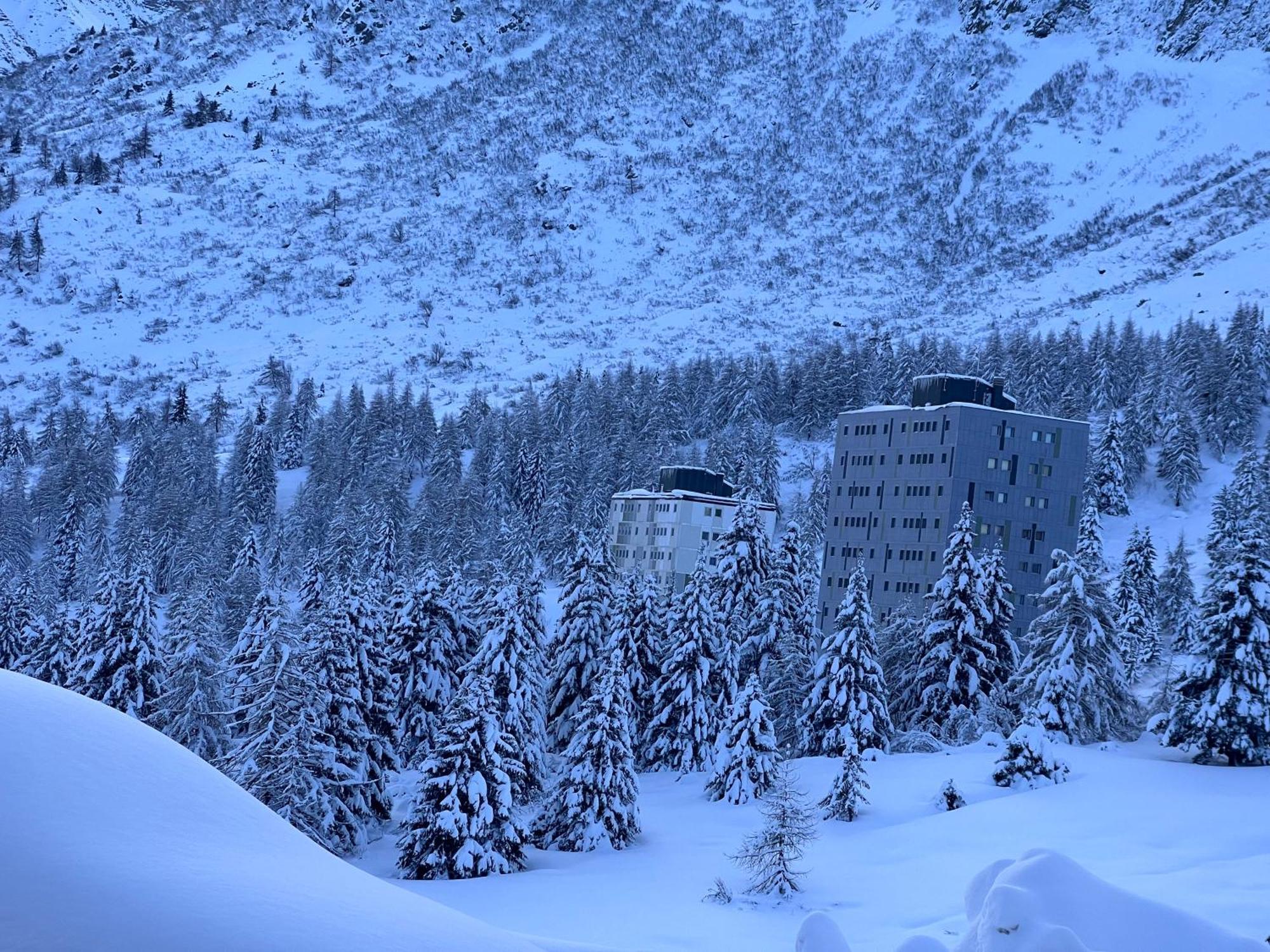 Anemone Bianco Suite Rooms Пассо-дель-Тонале Экстерьер фото